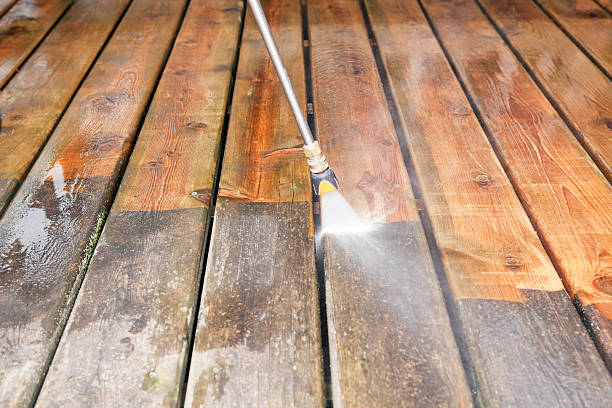 Best Animal Enclosure Cleaning  in Shorewood Forest, IN